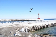 Winter-Seaguls-Pier